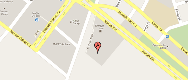 Google Map